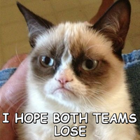 Spurs vs Liverpool. Grumpy Cat perfectly reflects my feelings.